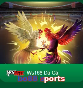 bo88 sports